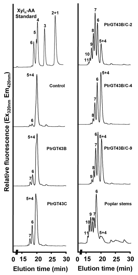 Figure 4. 