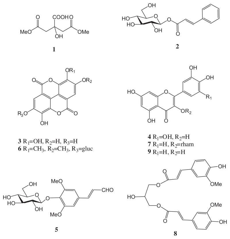 Fig. 5