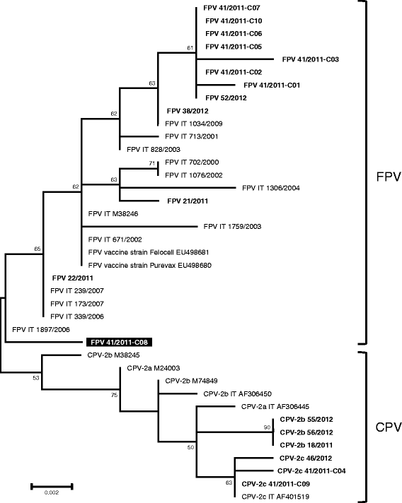 Fig. 1