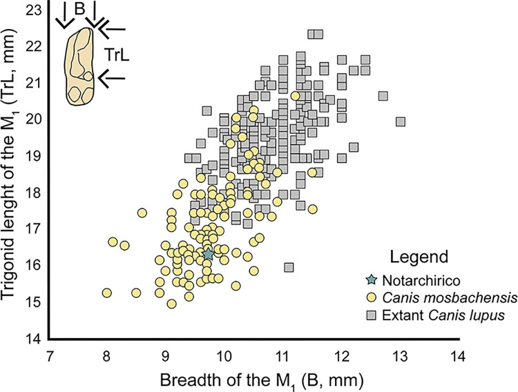 Fig 13