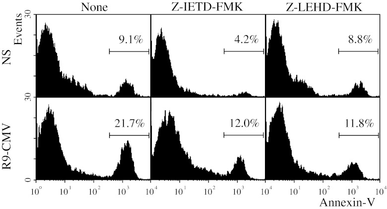 Fig. 7