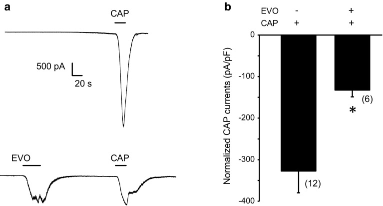 Fig. 5