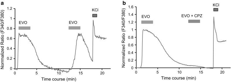 Fig. 3