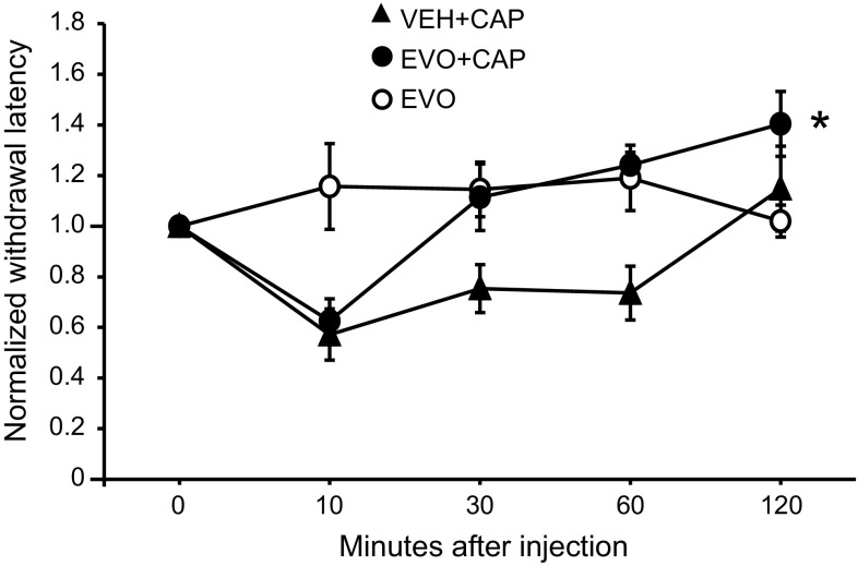 Fig. 6