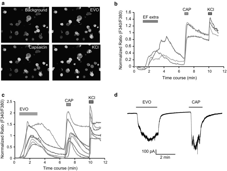 Fig. 2