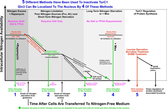 FIGURE 12.