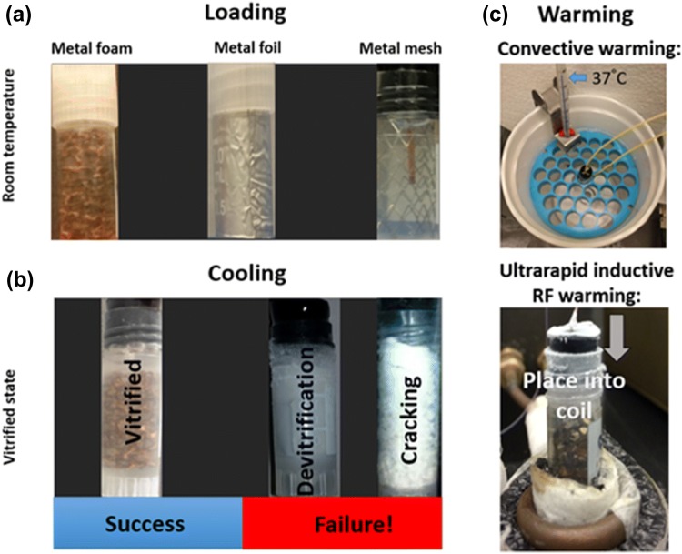 Figure 2