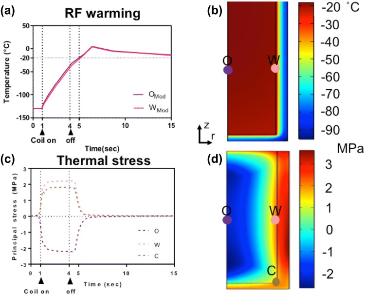 Figure 6