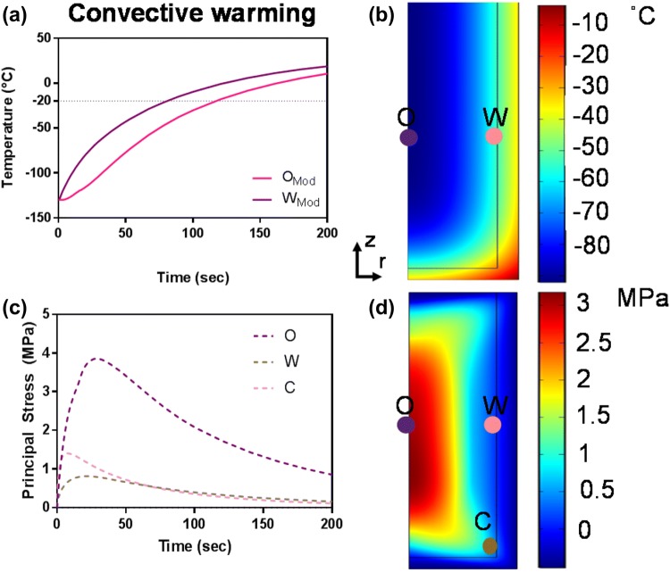 Figure 5