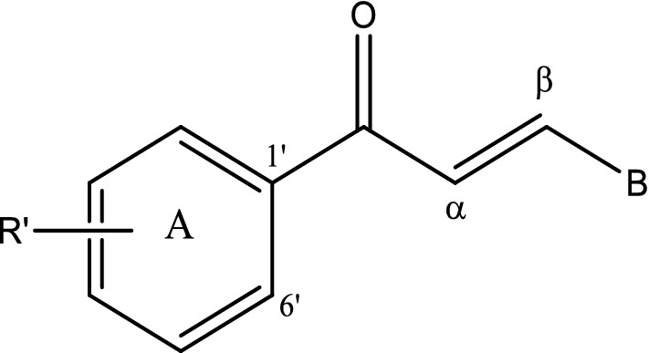 Fig. 2