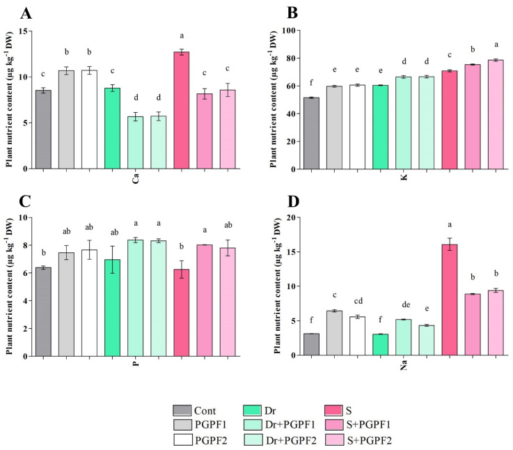 Figure 10