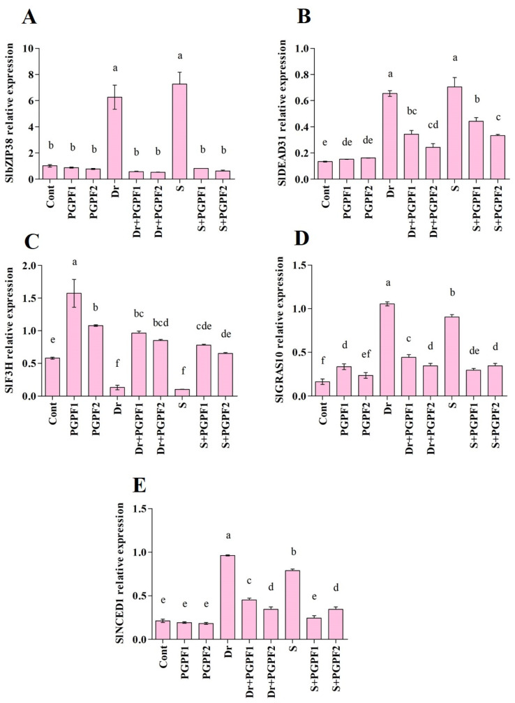 Figure 12