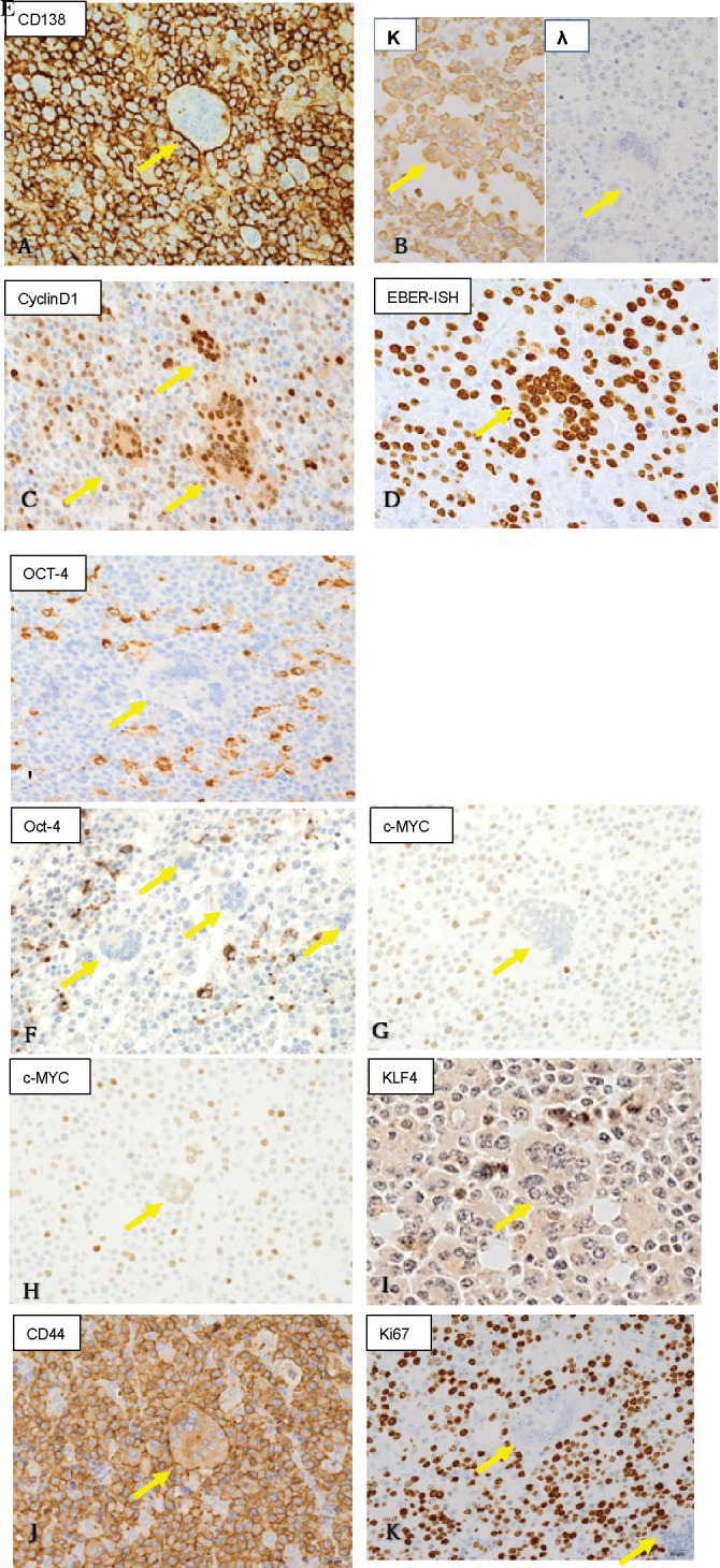 Figure 2