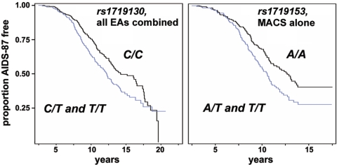 Figure  2. 