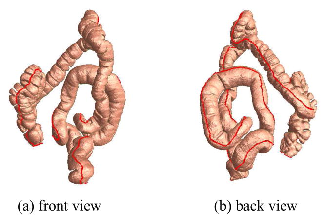 Fig. 6