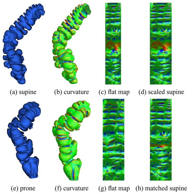 Fig. 9