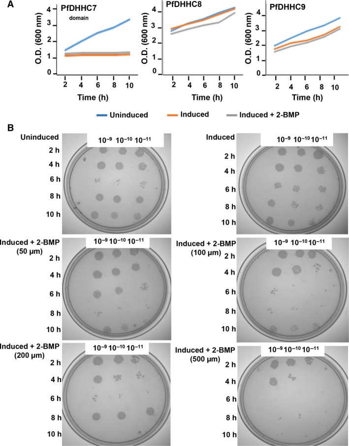 Figure 5