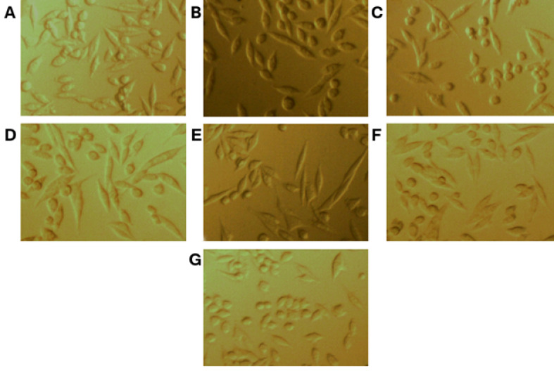 Figure-4