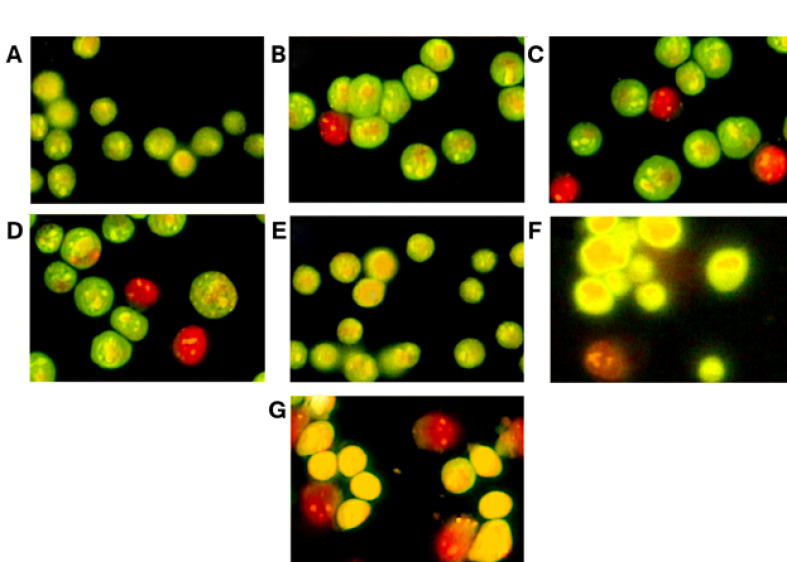 Figure-5