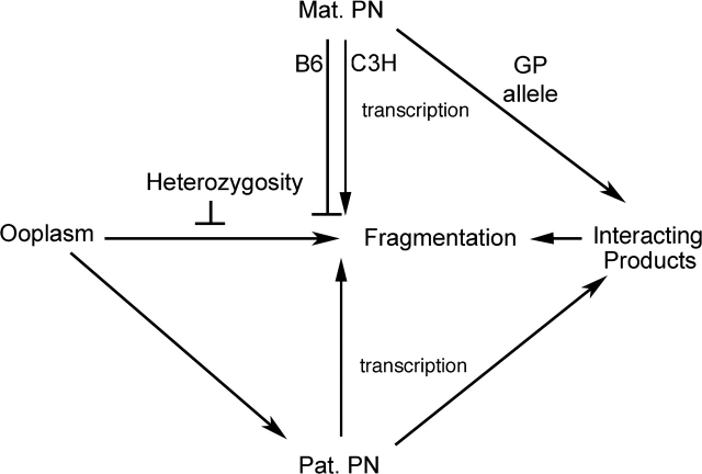 FIG. 7.