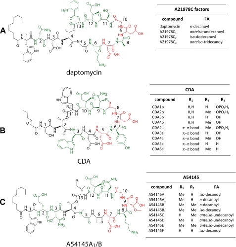 FIGURE 1.