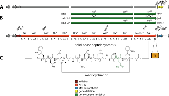 FIGURE 3.