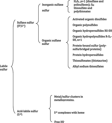 FIG. 7.