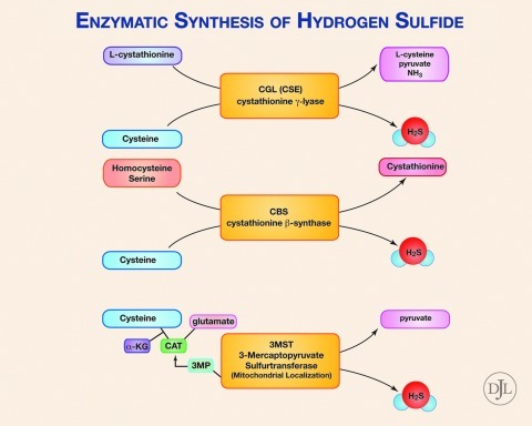 FIG. 2.