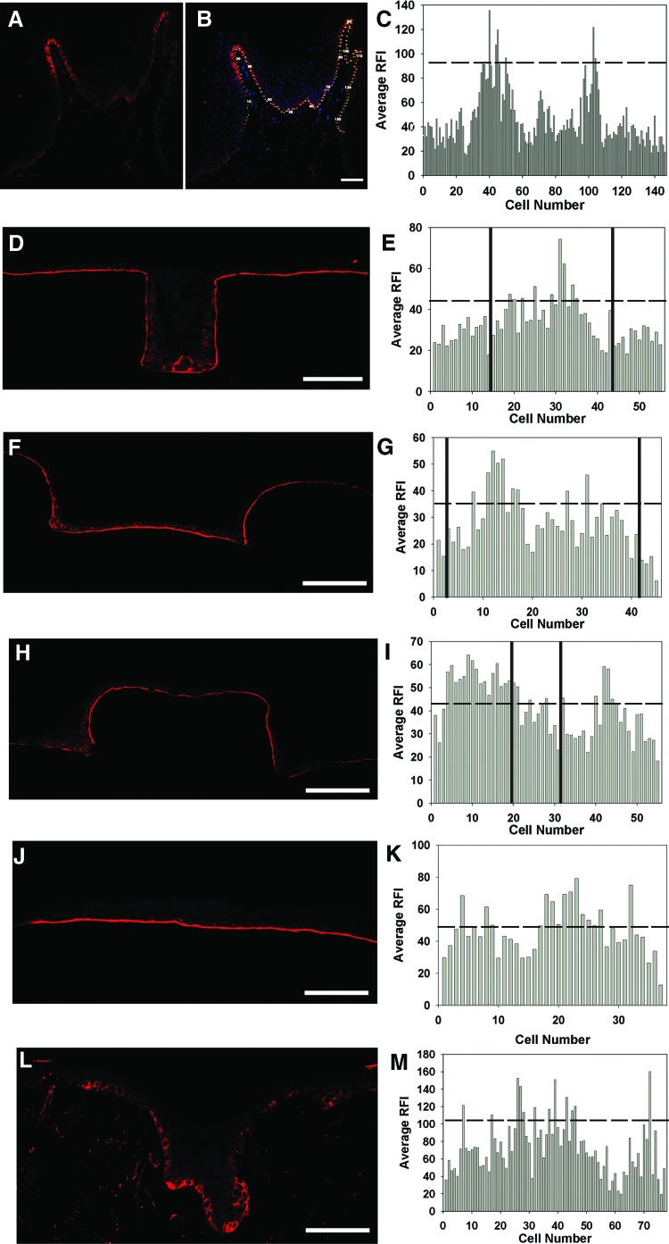 FIG. 8.