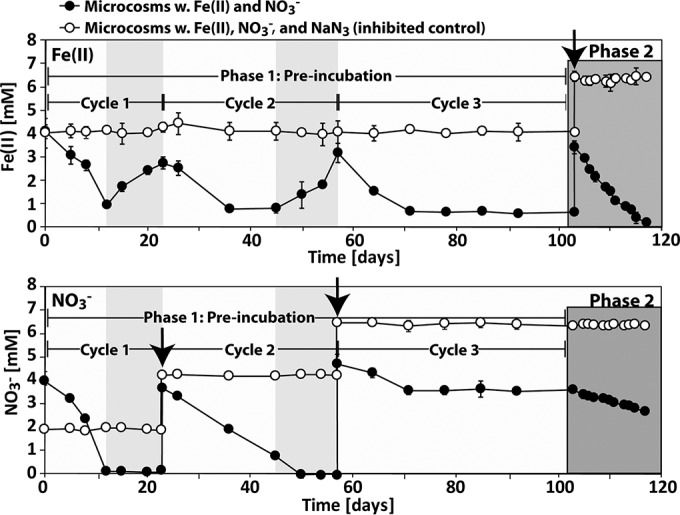 FIG 2