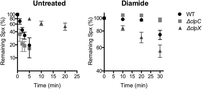 FIG 5