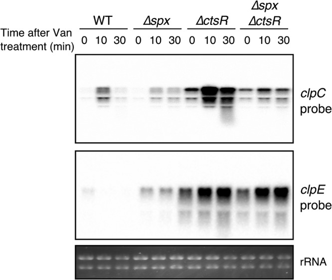 FIG 6