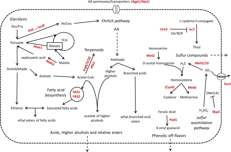 Figure 6