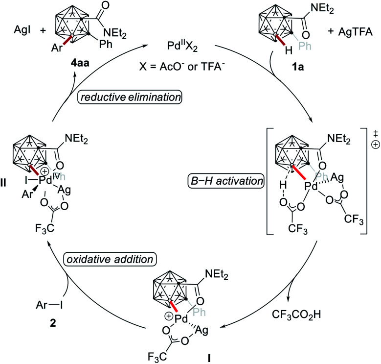 Scheme 6