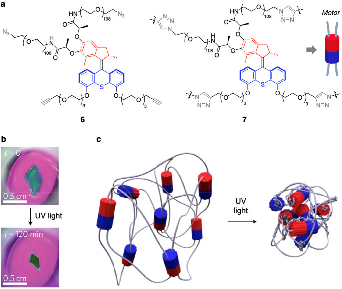 Figure 9