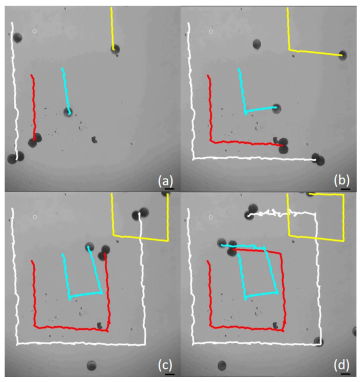 Figure 5