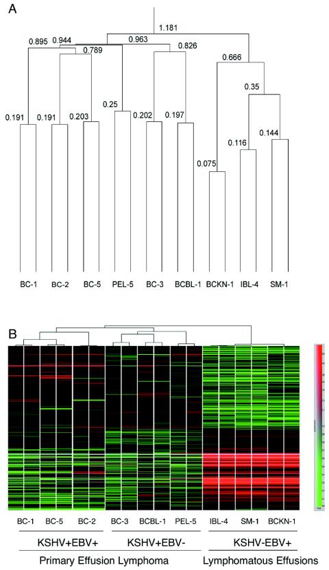 FIG. 1.