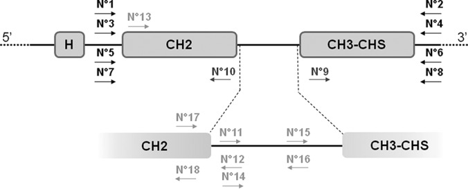 Fig. 1.