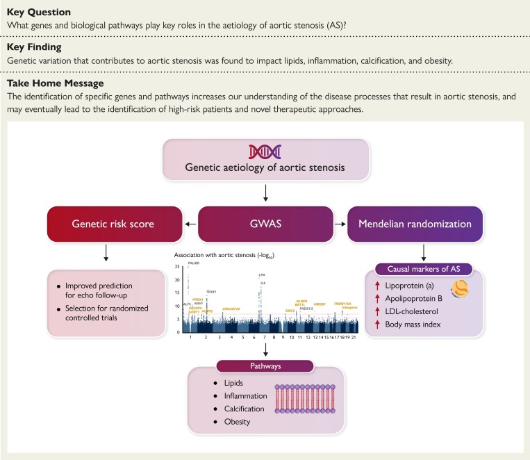 Structured Graphical Abstract