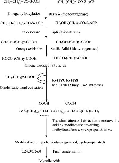 FIG. 10.