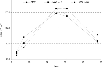 FIG. 2.