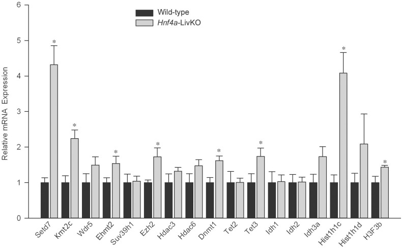 Figure 6