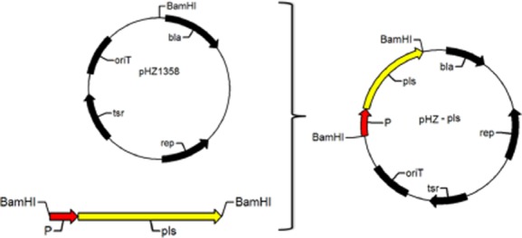 Figure 8