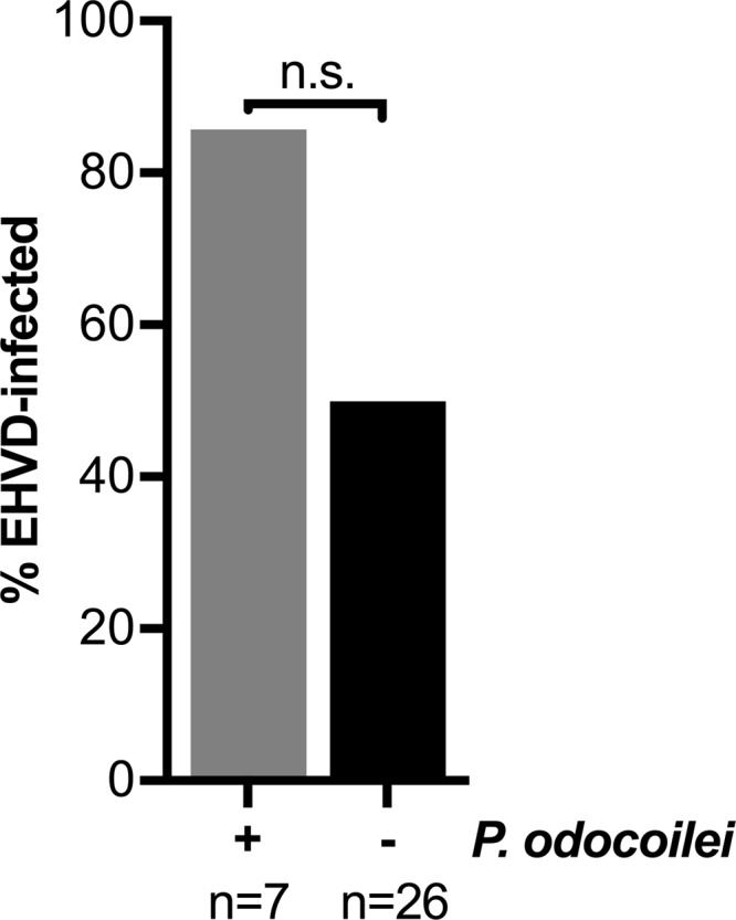 FIG 2 