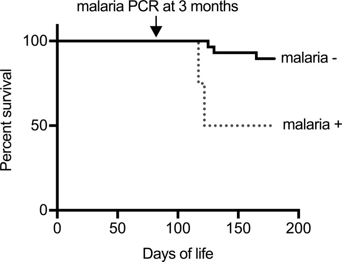 FIG 1 