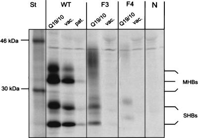 FIG. 5