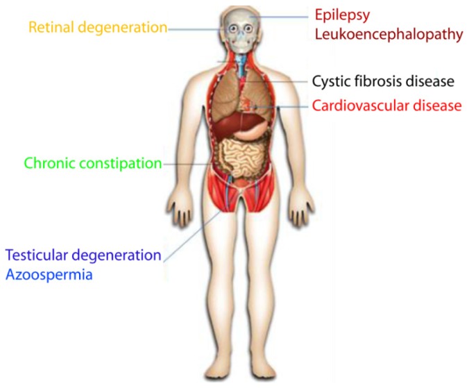 Figure 3.