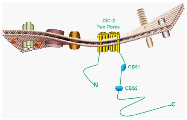 Figure 2.