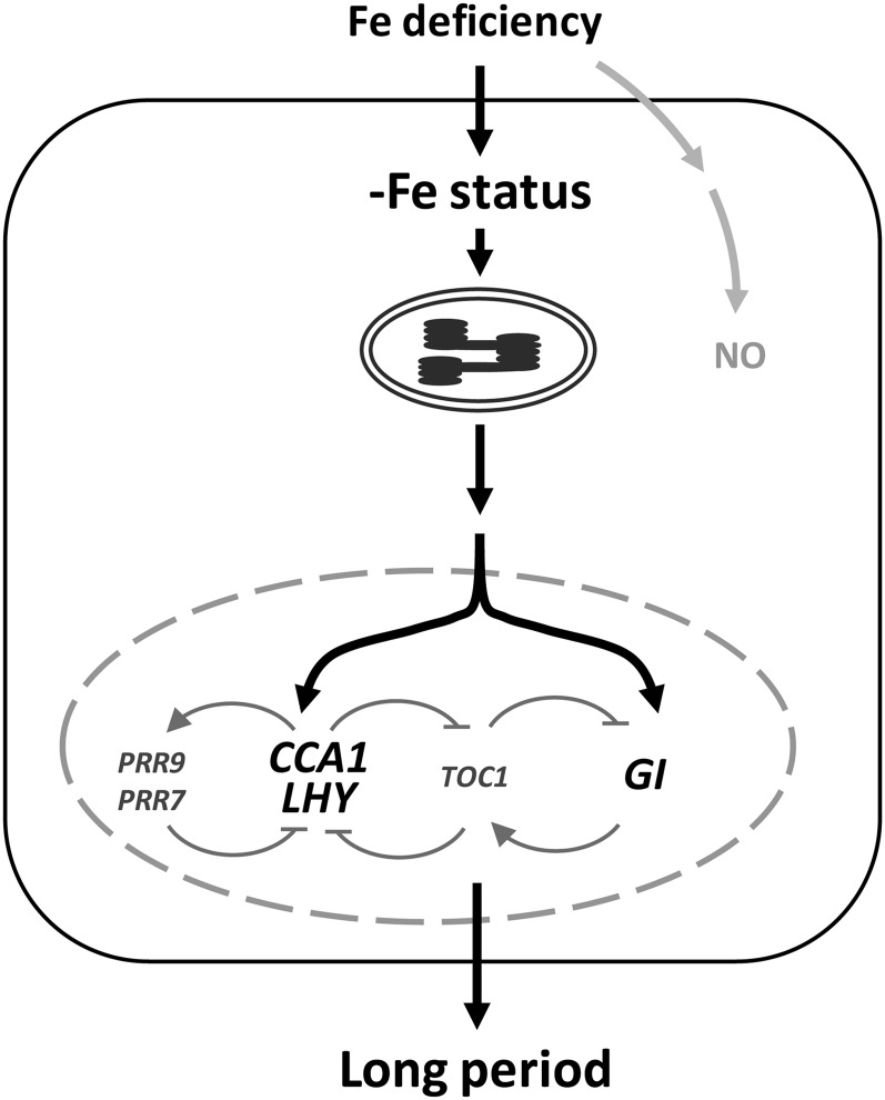 Figure 9.