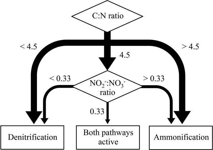 FIG 5